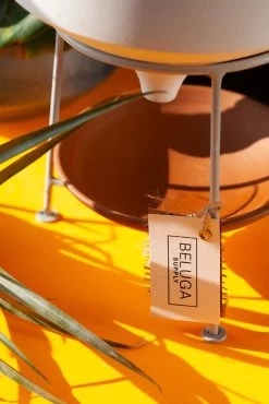 BELUGA Ponder Pot - Premium Hand Crafted Terra Cotta Planter -Garden Care Store s753278155256112669 p1021 i5 w1867