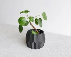 Tokyo Planter By Minimum Design -Garden Care Store s753278155256112669 p1039 i3 w3235