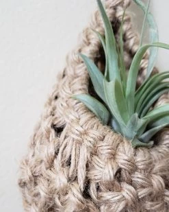 Jute Plant Pod Hanger By Maddi And Joan -Garden Care Store s753278155256112669 p1128 i3 w1200