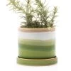 Chive - 3 Inch Minute Planter Pot & Saucer - Green