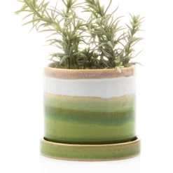 Chive - 3 Inch Minute Planter Pot & Saucer - Green