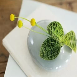 SACCO Vase Porcelain 01 By KINTO 7 SACCO Vase Porcelain 01 By KINTO -Garden Care Store s753278155256112669 p1238 i3 w900