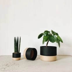 Nairobi Planter By Minimum Design -Garden Care Store s753278155256112669 p1292 i4 w2560