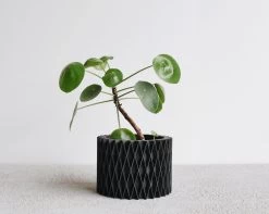 Croix Black Planter By Minimum Design