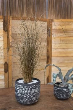 Delrado Pot By Accent Decor -Garden Care Store s753278155256112669 p1371 i1 w1000