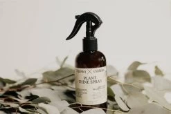 Organic Leaf Shine Spray