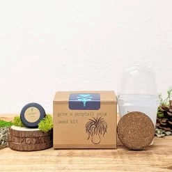 Plantflix - Grow A Ponytail Palm Seed Kit