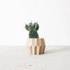 Tokyo Natural Wood Planter By Minimum Design
