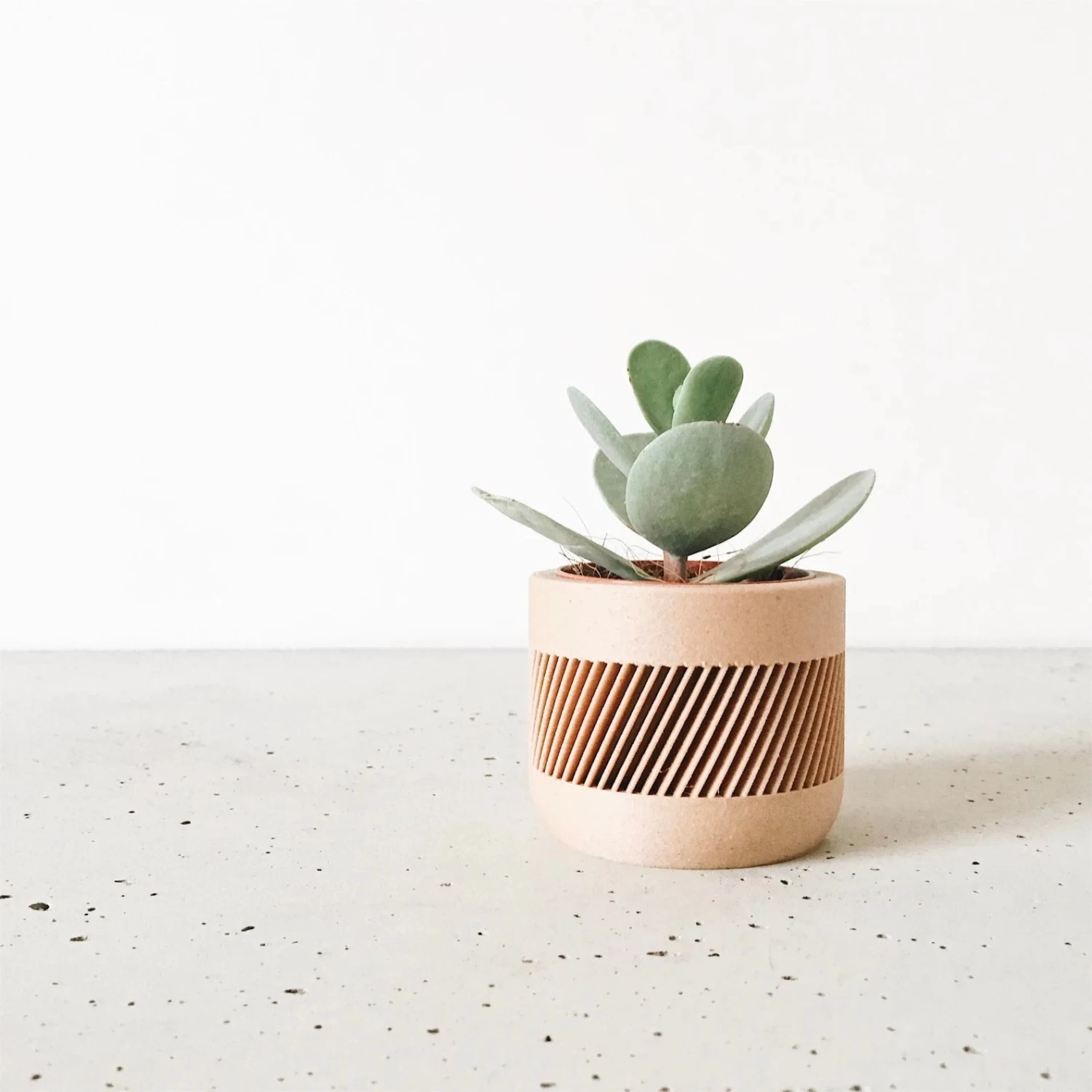THERMA Planter By Minimum Design 2 THERMA Planter By Minimum Design - Image 2