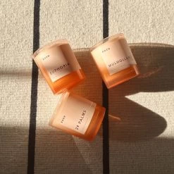 ROEN - LE GRAND 29 PALMS Candle -Garden Care Store s753278155256112669 p1519 i3 w1770