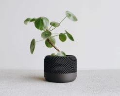 Apple Planter BLACK By Minimum Design
