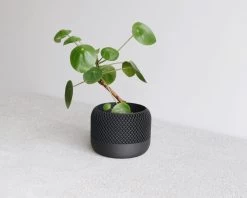 Apple Planter BLACK By Minimum Design -Garden Care Store s753278155256112669 p1553 i3 w1024