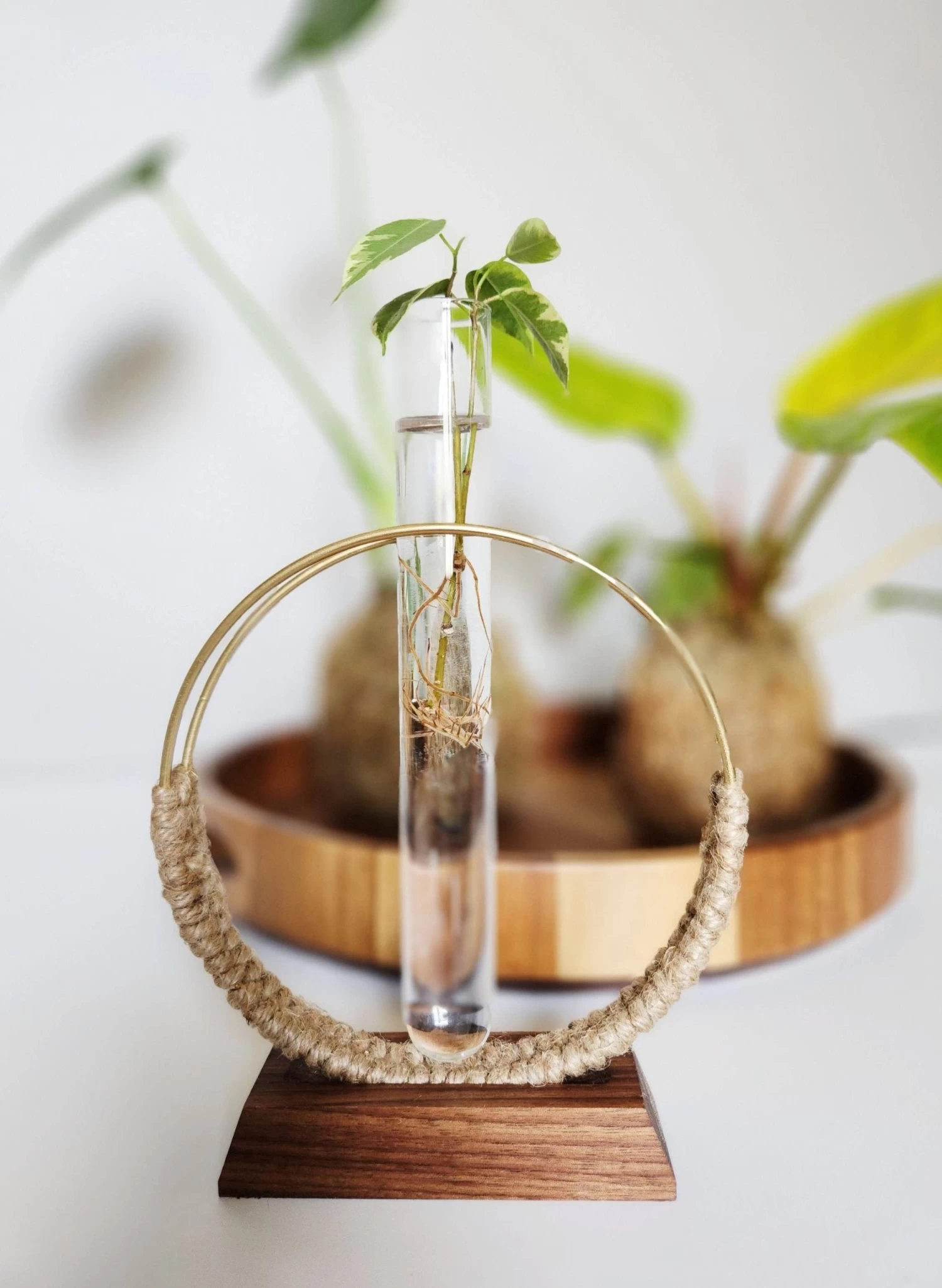 Maddi And Joan - Jute Circle Propagation Stand 1 Maddi And Joan - Jute Circle Propagation Stand