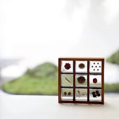 Sola Cube Ant Tree 14 Sola Cube Ant Tree -Garden Care Store s753278155256112669 p1607 i20 w1024