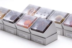 Sola Cube Ant Tree 15 Sola Cube Ant Tree -Garden Care Store s753278155256112669 p1607 i21 w1200