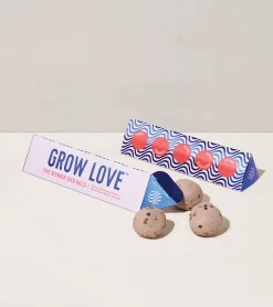 Bright Side Seed Balls GROW LOVE By Modern Sprout