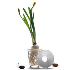 Botanopia Propagation Plate - Large Hole