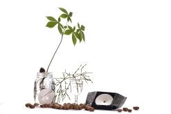 Botanopia Propagation Plate - Small Hole -Garden Care Store s753278155256112669 p357 i11 w1080