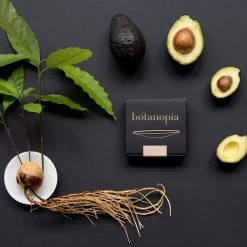 Botanopia Propagation Plate - Small Hole -Garden Care Store s753278155256112669 p357 i5 w1080