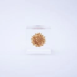 Sola Cube Basket Flower -Garden Care Store s753278155256112669 p427 i2 w1000