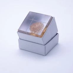 Sola Cube Basket Flower -Garden Care Store s753278155256112669 p427 i6 w1000