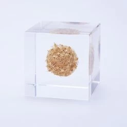 Sola Cube Basket Flower