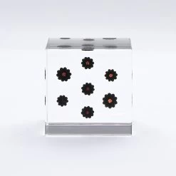 Sola Cube Pokeweed -Garden Care Store s753278155256112669 p430 i2 w800