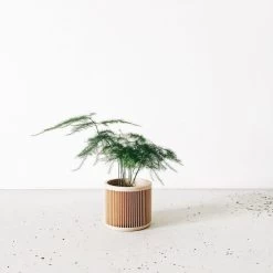 Japan Planter By Minimum Design -Garden Care Store s753278155256112669 p494 i2 w1024