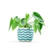 Wavy Line Turquoise 4 Inch Canvas Planter By GRAY GREEN GOODS