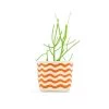 Wavy Line Orange 4 Inch Canvas Planter By GRAY GREEN GOODS
