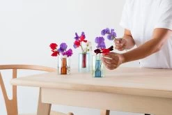 BLOCK DESIGN Reversible Glass Vase - Small - Blue And Red -Garden Care Store s753278155256112669 p636 i3 w1125