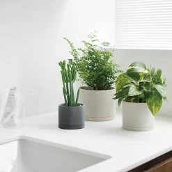 KINTO PLANT POT Model 191 - 5 Inch 5 KINTO PLANT POT Model 191 - 5 Inch -Garden Care Store s753278155256112669 p732 i4 w900