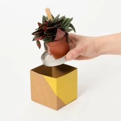 Geometric Plant Pot Cover - Washable Paper 11 Geometric Plant Pot Cover - Washable Paper -Garden Care Store s753278155256112669 p733 i4 w750