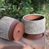 Zziee Medium Bead-Glaze Planter