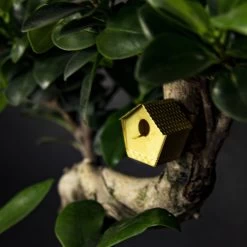 Tiny Birdhouse By BOTANOPIA -Garden Care Store s753278155256112669 p784 i2 w2000