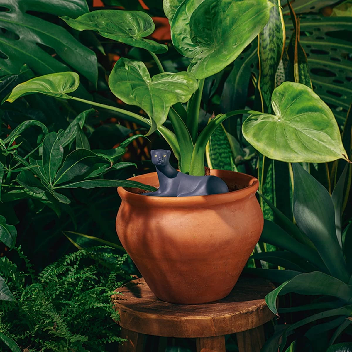 DOIY Design Jangal Panther Self-Watering System 4 DOIY Design Jangal Panther Self-Watering System - Image 4