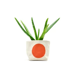Orange Dot 4 Inch Canvas Planter By GRAY GREEN GOODS