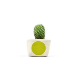 Chartreuse Dot Blockprint Cotton Canvas Planter - 3 Inch By GRAY GREEN GOODS