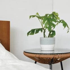 KINTO PLANT POT Model 193 5 KINTO PLANT POT Model 193 -Garden Care Store s753278155256112669 p867 i2 w900