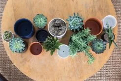 ROMEY Cylinder Pot With Saucer (Orange / White / Black / Ochre-Mustard Yellow) -Garden Care Store s753278155256112669 p918 i5 w6750