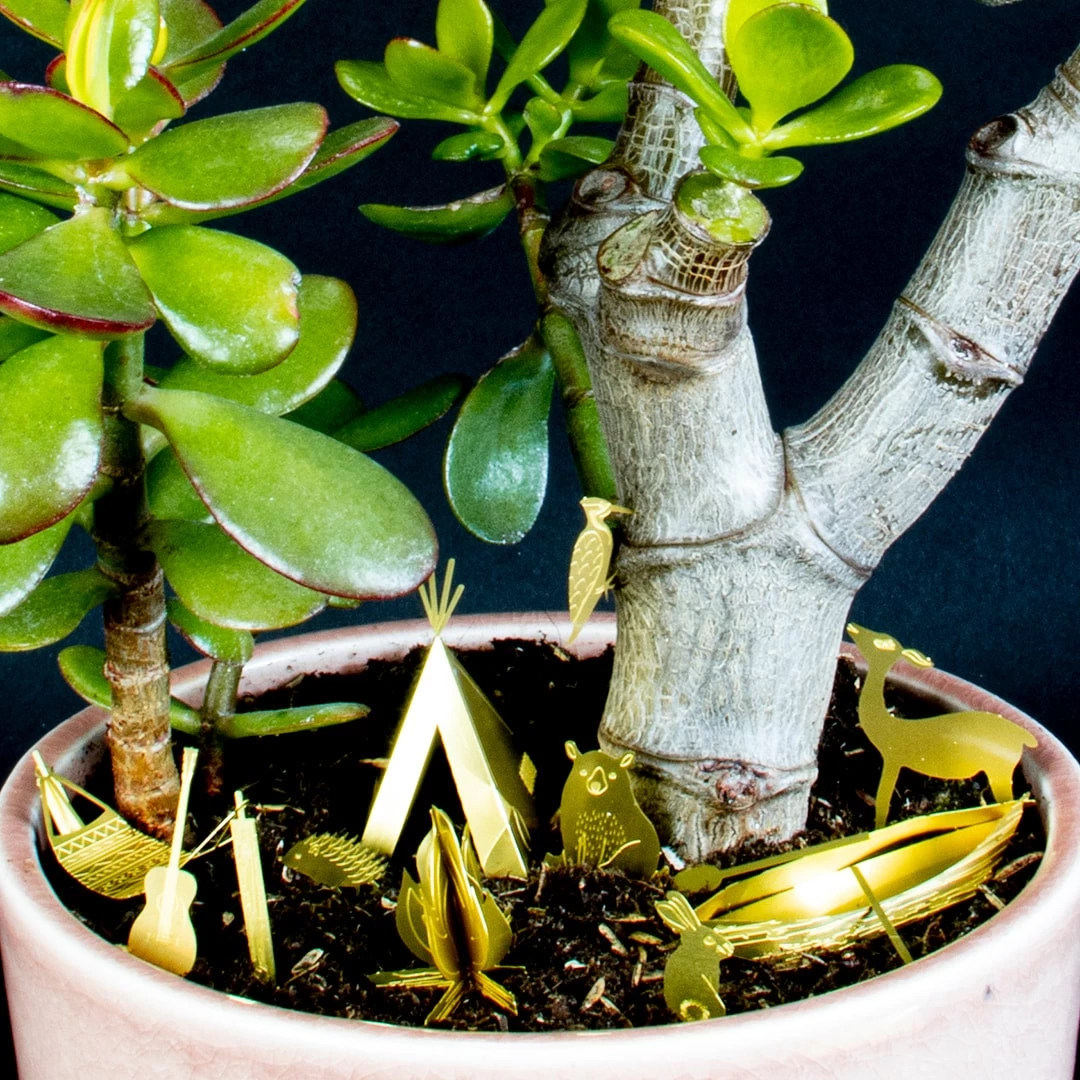 Tiny Camping Set By BOTANOPIA 6 Tiny Camping Set By BOTANOPIA - Image 6