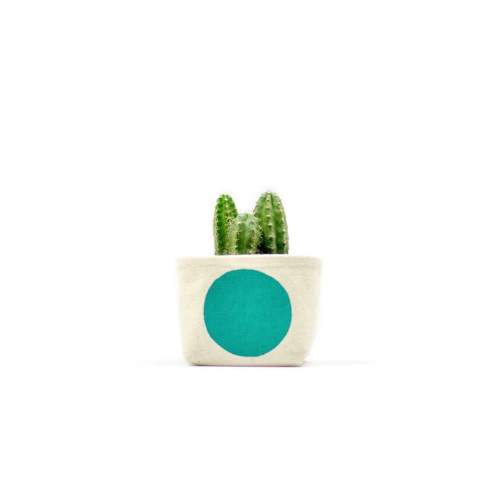 Turquoise Dot 3 Inch Canvas Planter By GRAY GREEN GOODS 1 Turquoise Dot 3 Inch Canvas Planter By GRAY GREEN GOODS