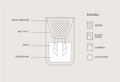 Prickly Pear Cactus Terracotta Grow Kit By Modern Sprout -Garden Care Store s753278155256112669 p953 i4 w962
