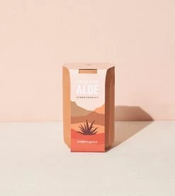 Healing Aloe Terracotta Grow Kit By Modern Sprout -Garden Care Store s753278155256112669 p954 i12 w1244