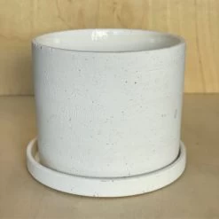 EASTON Cylinder Pot - Rough Texture Pot With Saucer